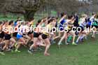 Senior Womens 2026 UK CAU Inter Counties Cross Country, Wollaton Park, Nottingham. Photo: David T. Hewitson/Sports for All Pics